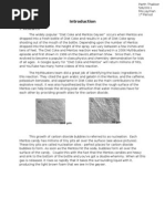 Download Diet Coke Mentos Nucleation Reaction - Final Report - Parth Thakker by parthct SN72549567 doc pdf