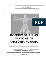 Roteiro de Pratica - Anatomia Humana 2024