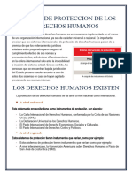 Sistema de Proteccion de Los Derechos Humanos