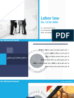 Personnel - Egyptian Labor Law