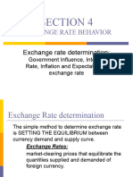 Exchange Rate Bahavior
