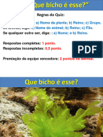 Quiz Que Bicho É Esse!