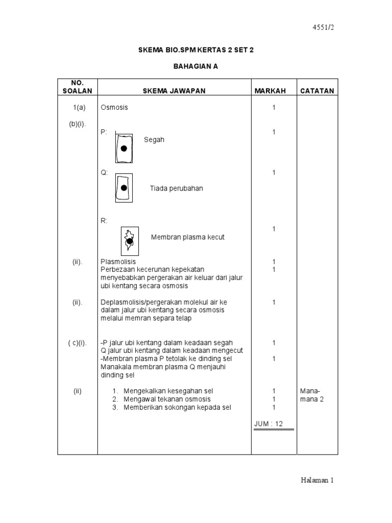 Biologi Skema SPM Bio Kertas2 Set 2 | PDF