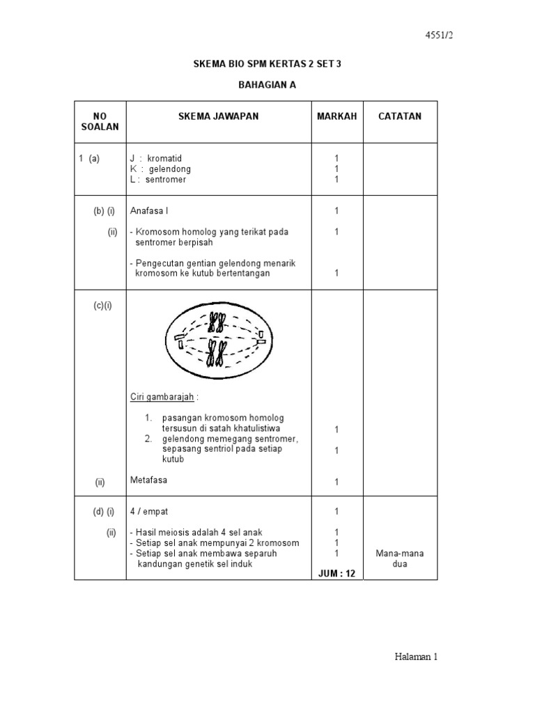 Biologi Skema SPM Bio Kertas2 Set 3  PDF
