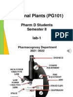 Starches Pharm D 2021