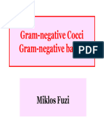 Gram Negative Coccus