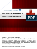 Powerpoint Anatomia Sistema Circulatorio