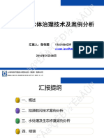 邹伟国 城市黑臭水体治理技术及案例分析