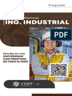USMP FS Ing - Industrial