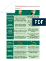 Anatomia comparada