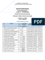 Acta de Conformación CCE