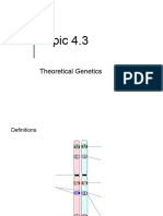Topic 4.3 Theoretical Genetics