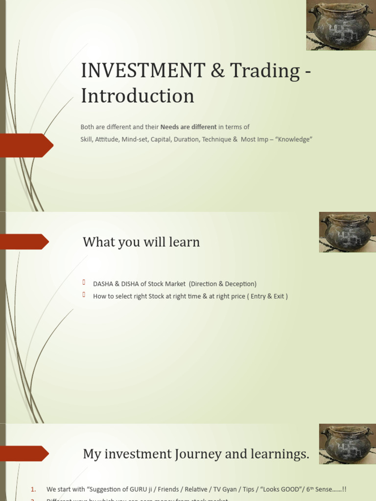 Investment Process PDF Stocks Investing