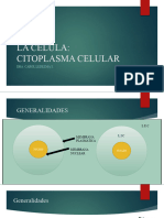 Citoplasma Celular