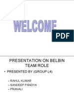 Belbin-L4