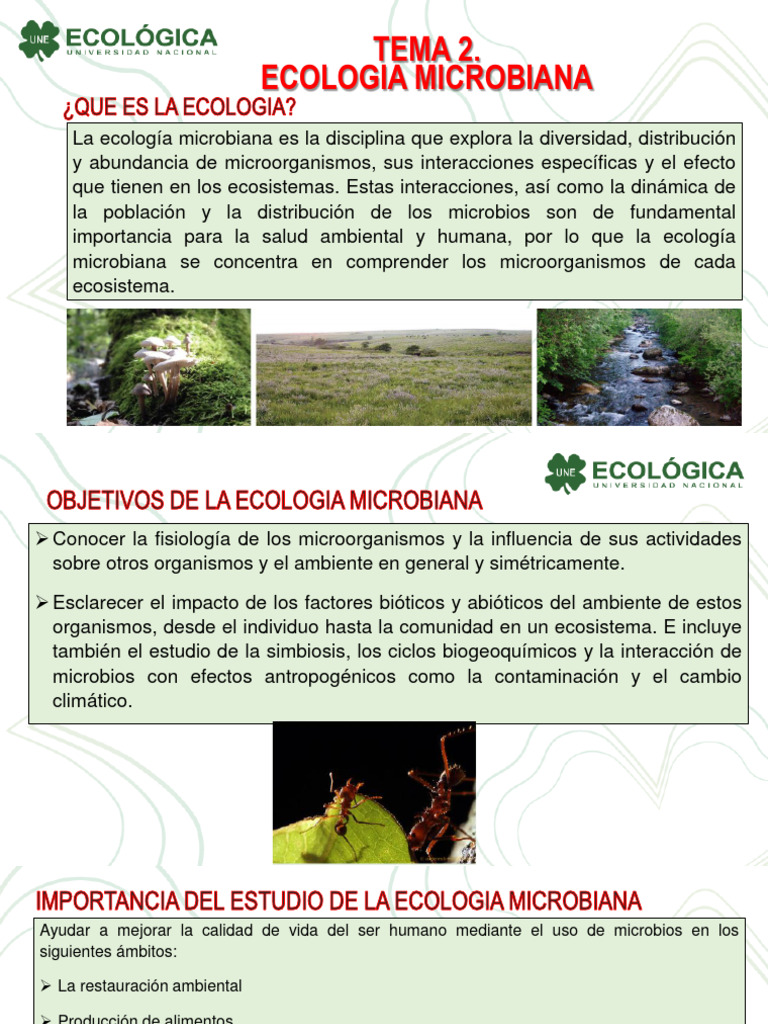 Importancia de la Ecología Microbiana | PDF | Ecología | Microorganismo