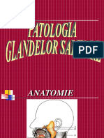 Patologia Glandelor Salivare