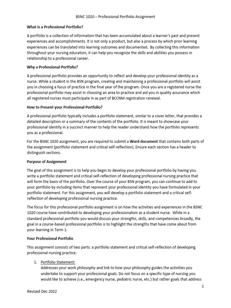 Professional Portfolio Assignment | PDF | Nursing | Learning