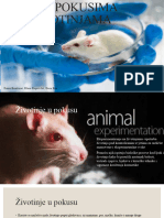 Laboratorijske Životinje