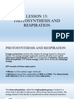 PDF. Gb1photosynthesis and Respiration