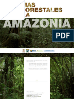 Sistema Agroforestales para La Amazonia B