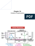 MBG312 Chp18