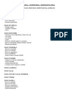 Utf-8 - Roteiro Prática Osteologia 1