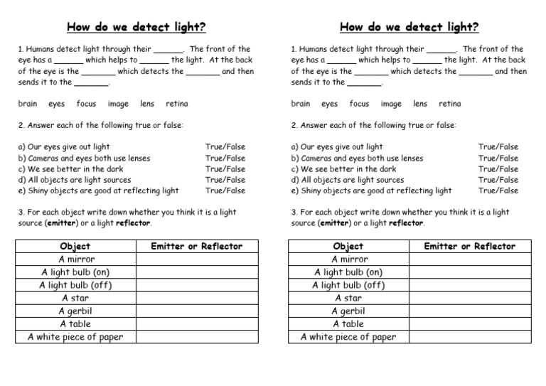 Understanding Light Detection in Humans | PDF