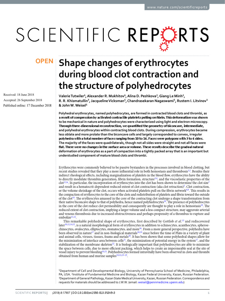Erythrocyte Shape Changes in Clotting | PDF | Red Blood Cell | Coagulation