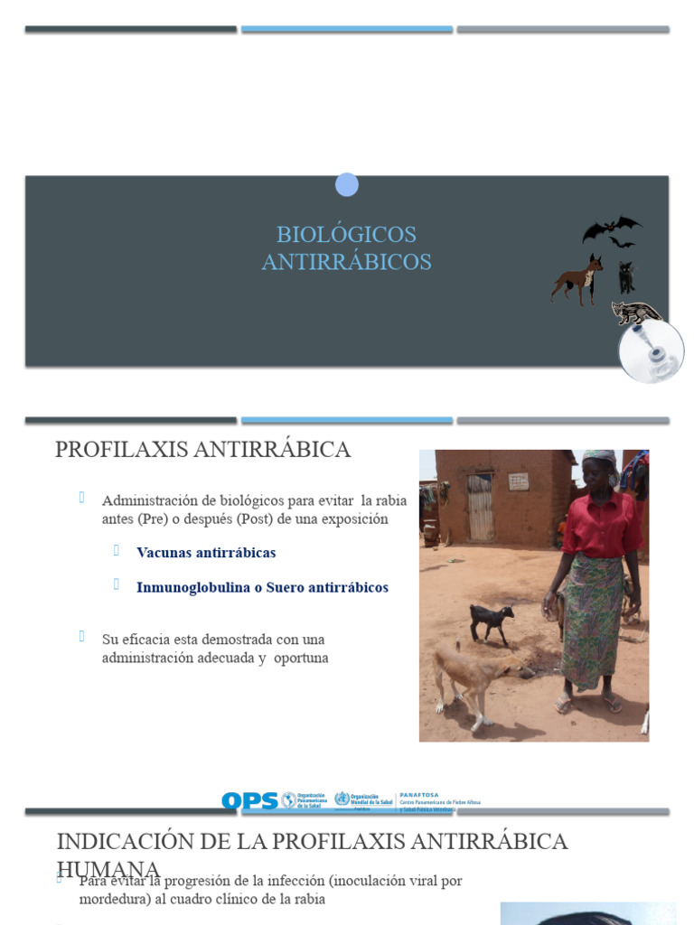 Vacuna Antirrabica | PDF | Rabia | Inyección (medicina)