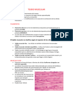 5 TEJIDO MUSCULAR Docx