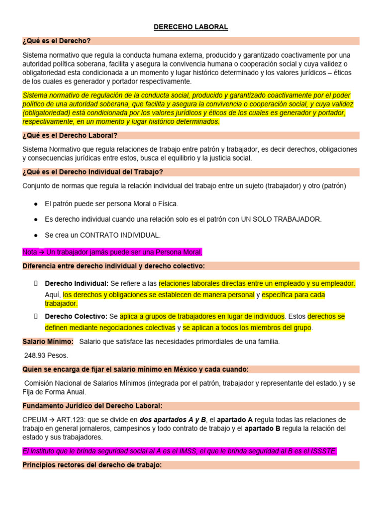 Introducción al Derecho Laboral en México | PDF | Derecho laboral | Salario