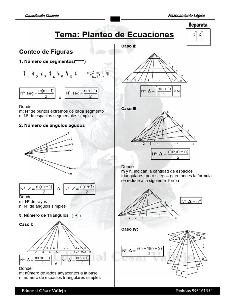Conteo de Figuras en Ecuaciones | PDF | Objetos geométricos | Geometría ...