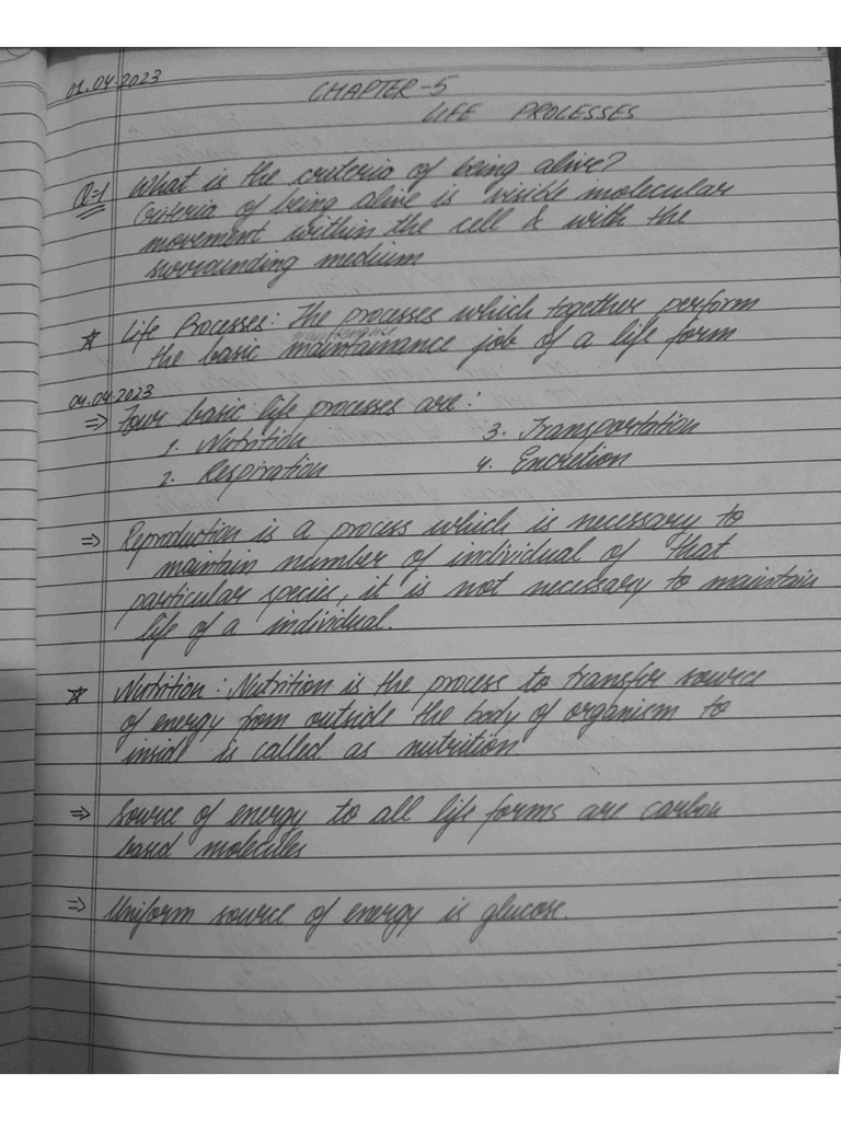 Life processes detailed notes pdf