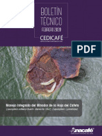 Boletin Tecnico CEDICAFE Febrero 2020 02