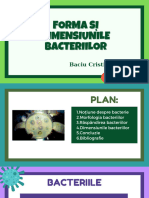 Forma Și Dimensiunile Bacteriilor