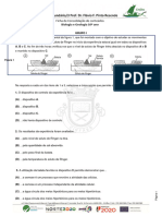 Ficha Consolidação de Conteúdos Novembro