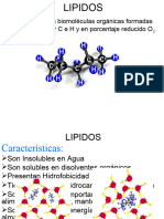 Generalidades Lipidos