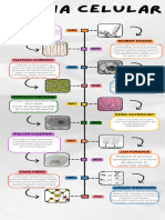 Infografia Línea Del Tiempo Historia Timeline Doodle Multicolor