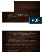 Direito Ambiental - Aulas 1 e 2