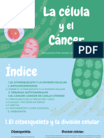 Trabajo Biología Cancer