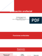 09 - Evaluación Orofacial