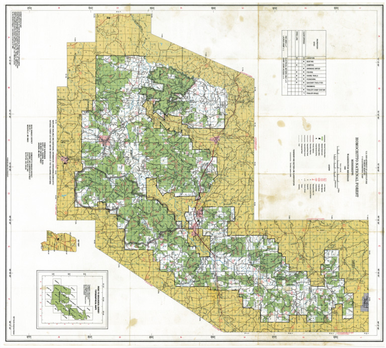 Homochitto National Forest Map 1989 PDF