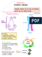 Biologã A