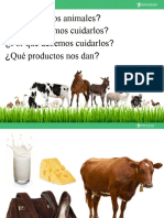 34-PPT-Productos-de-origen-animal