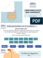 Sistema Digestivo - 5º Básico