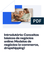 Introdutorio Conceitos Basicos de Negocios Online Modelos de Negocios e Commerce Dropshipping