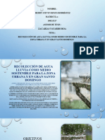 Presentacion de Ecologia - Recolecion de Agua Lluvia - Freddy Reyes - 100213217 1