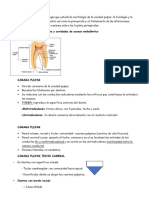 Endodoncia 3 S