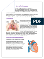 Corazón Humano